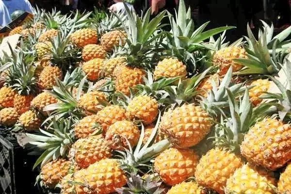 中山有什么美食？