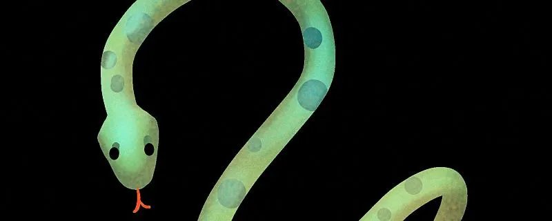 梦见被蛇咬脚是什么征兆 梦见被蛇咬脚意味着什么 