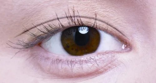 韩式三点定位双眼皮多少钱