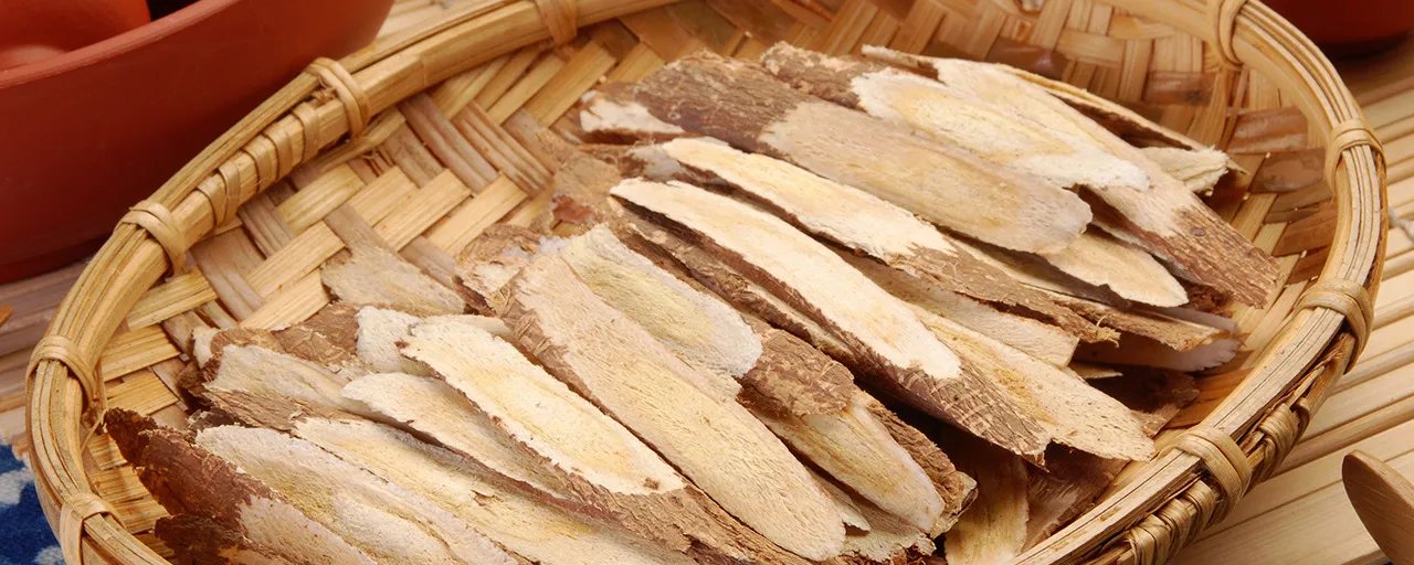 黄芪茯苓的功效与作用