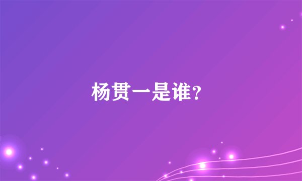 杨贯一是谁？