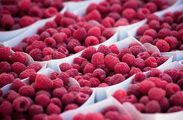 覆盆子是什么 覆盆子和树莓有什么区别