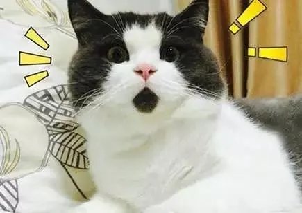 难以置信的意思