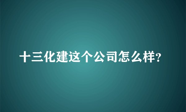 十三化建这个公司怎么样？