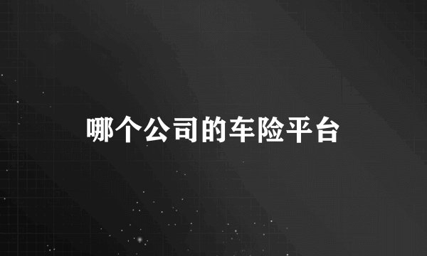 哪个公司的车险平台