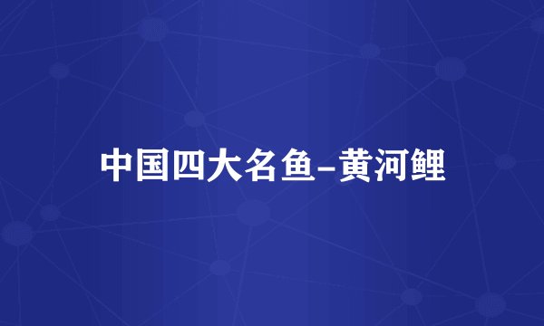 中国四大名鱼-黄河鲤