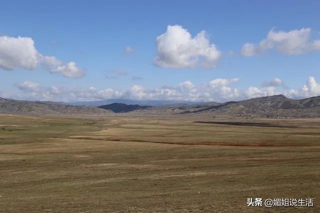 世界上最贵的东西都有哪些?