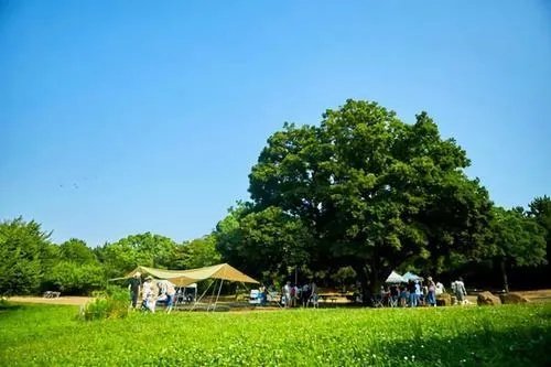 郁郁葱葱的近义词是什么?