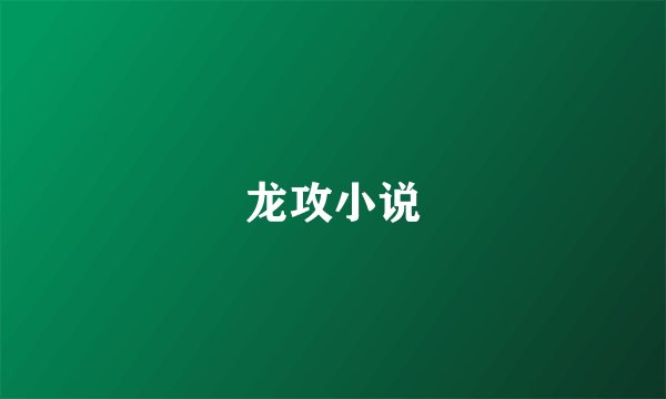 龙攻小说