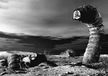 世界上最贵的东西都有哪些?