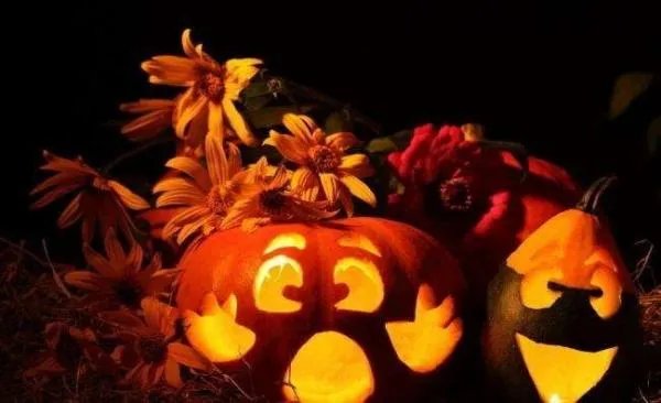 “万圣节不给糖就捣蛋”的英文翻译是什么？