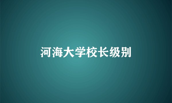 河海大学校长级别