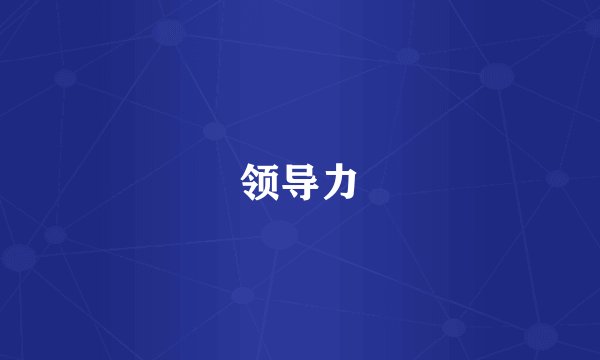 领导力