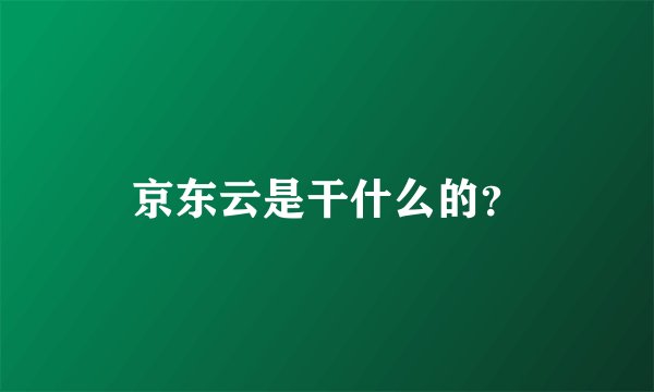 京东云是干什么的？