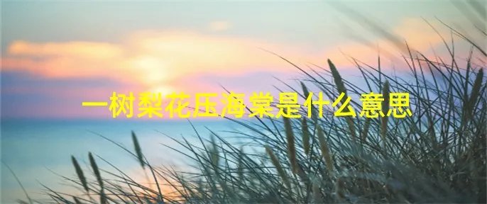 一树梨花压海棠是什么意思