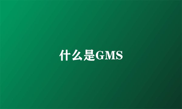 什么是GMS
