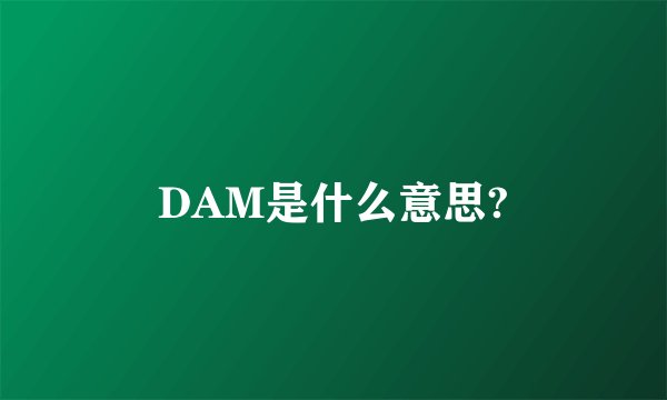 DAM是什么意思?