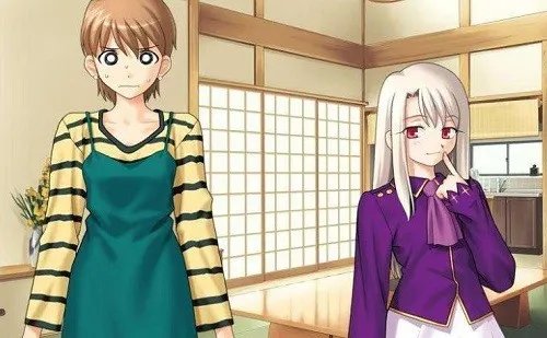 卫宫家今天的饭好玩吗 卫宫家今天的饭玩法简介