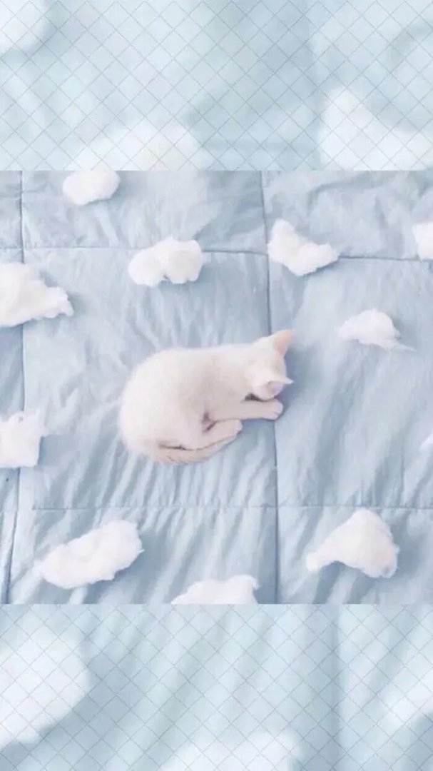 大家有没有好看简约的QQ背景图片？