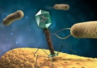 jt是什么意思？