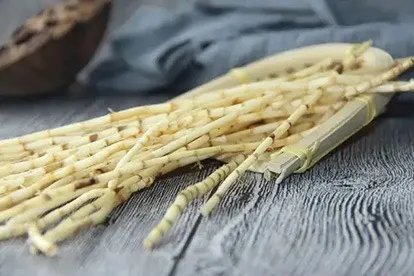 白茅根全草图片