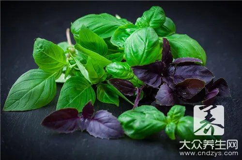 紫苏梗有哪些妙用？