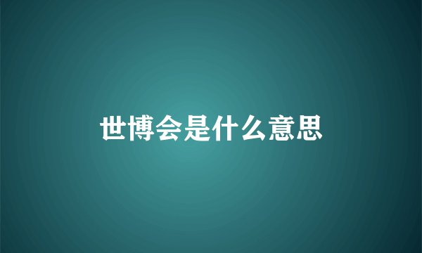 世博会是什么意思