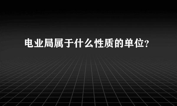 电业局属于什么性质的单位？