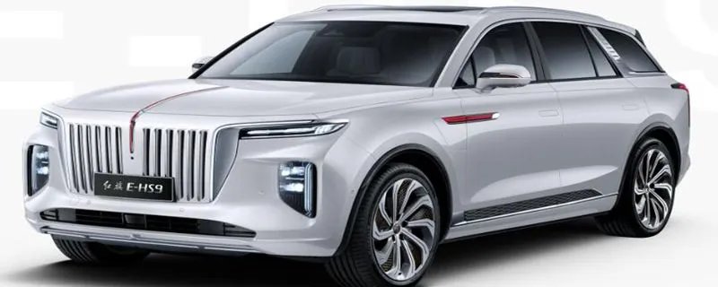 红旗hs9有燃油版吗,什么时候上市?,红旗hs9有燃油版吗