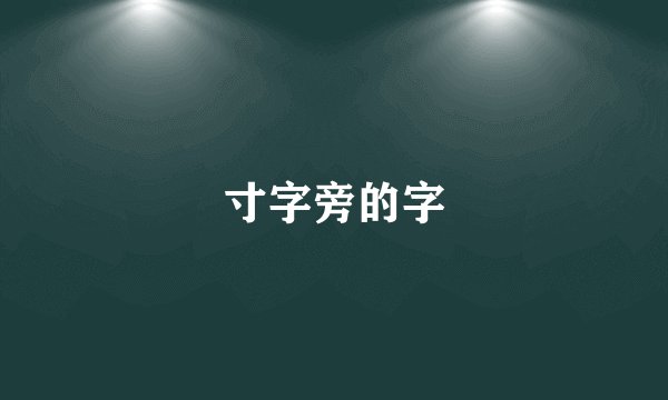 寸字旁的字