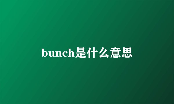 bunch是什么意思
