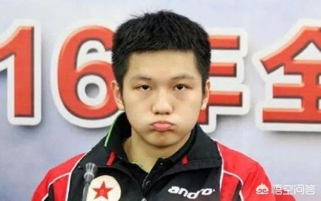 如何评价樊振东？