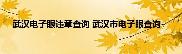 武汉电子眼违章查询 武汉市电子眼查询