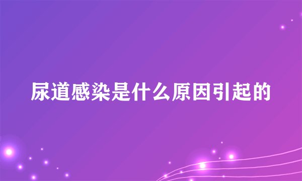 尿道感染是什么原因引起的