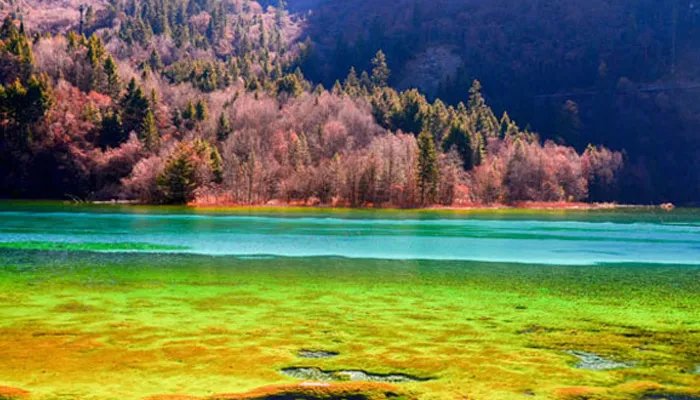 九寨沟属于哪个省