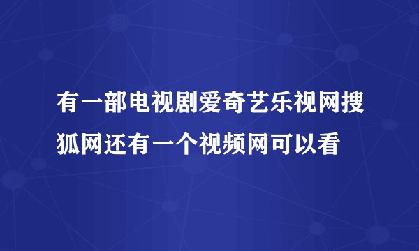 有一部电视剧爱奇艺乐视网搜狐网还有一个视频网可以看