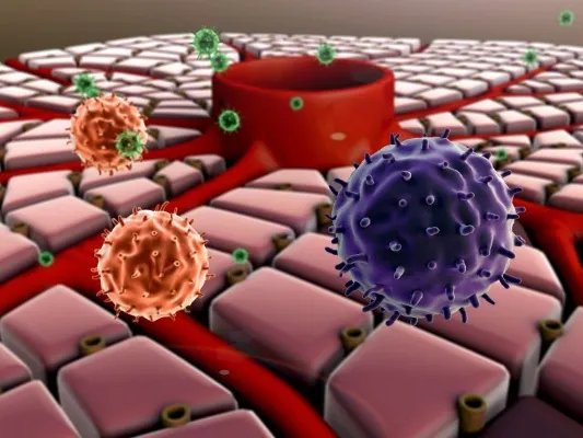 eb病毒感染要注意什么