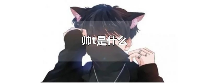 帅t是什么