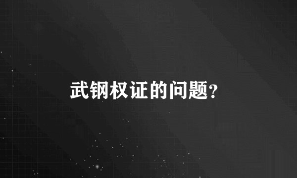 武钢权证的问题？