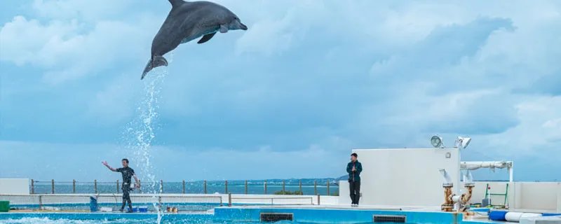 南洋是哪里 南洋在哪里