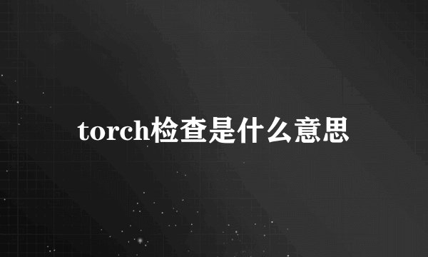 torch检查是什么意思