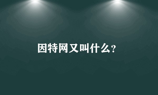 因特网又叫什么？