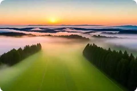 全国报检员资格考试网