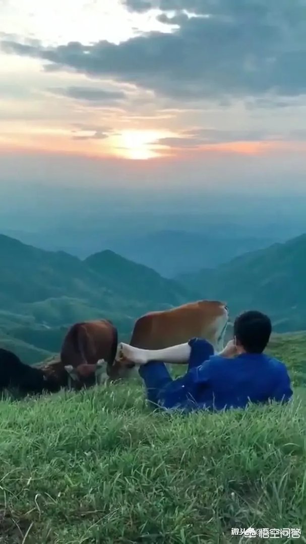 城市公交车候车亭是如何科学选址的？