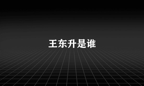 王东升是谁
