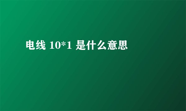 电线 10*1 是什么意思