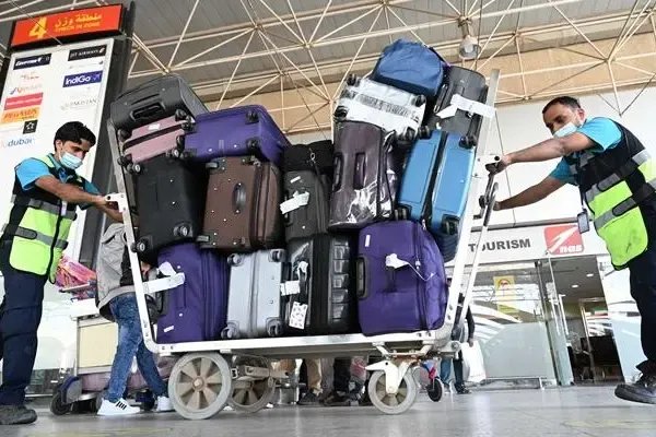 欧美疯抢中国箱包订单已排到明年，利好哪些企业？