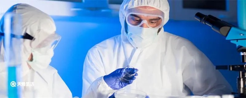 ppe是什么意思啊