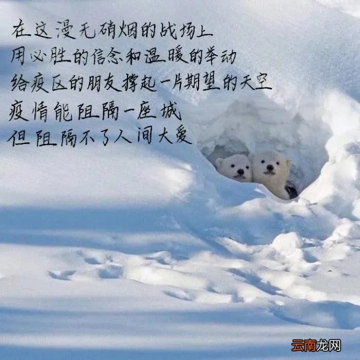 疫情当下那些暖心语录 希望疫情结束的暖心话