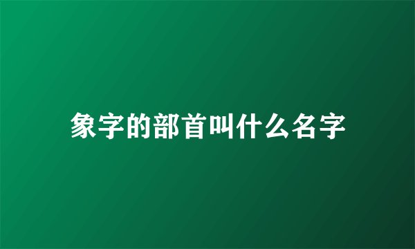 象字的部首叫什么名字